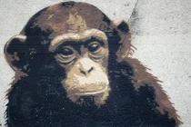 Top 3 con giáp thông minh hết phần thiên hạ, làm đâu thắng đó