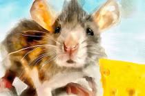 3 tuổi đen nhất Quý Mão 2023: Bước chân ra ngõ cũng mất tiền