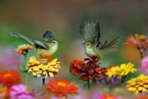 Tháng 12 sôi động, 4 con giáp đón cuộc sống sung túc 