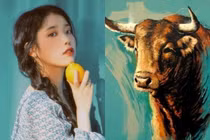 Thần Tài báo mộng, 4 tuổi sướng không ai bằng