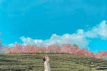 Các điểm du lịch hấp dẫn mới ở Lào Cai