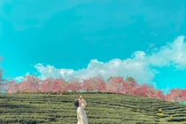 Các điểm du lịch hấp dẫn mới ở Lào Cai