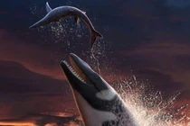 Thủy quái lớn gấp đôi cá sấu, “lai” cá voi, rồng, rắn, T-rex 