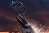 Thủy quái lớn gấp đôi cá sấu, “lai” cá voi, rồng, rắn, T-rex 