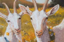 Nhà có 3 con giáp này, sang 2023 đổi vận bất ngờ, vàng đầy két