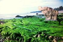 Ðến Cổ Thạch ngắm đá bảy màu và “săn” rêu