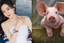 Tháng 2 Âm lịch: 2 con giáp đại hạn, 1 tuổi phất lên vù vù