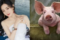 Tháng 2 Âm lịch: 2 con giáp đại hạn, 1 tuổi phất lên vù vù