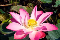 Người có trí tuệ cảm xúc cao sẽ chặn ngay 3 kiểu bạn này 