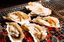 Những loại thực phẩm giàu kẽm và lợi ích của kẽm với sức khỏe 