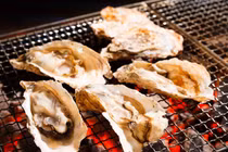 Những loại thực phẩm giàu kẽm và lợi ích của kẽm với sức khỏe 