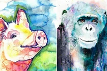 Đúng năm Nhâm Dần, 3 con giáp xung Thái Tuế tiền bạc chỉ thấy đi ra