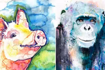 Đúng năm Nhâm Dần, 3 con giáp xung Thái Tuế tiền bạc chỉ thấy đi ra