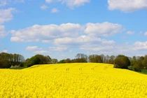 Người sinh ngày Âm lịch này cả đời thuận buồm xuôi gió