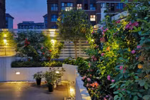 Khu vườn 32m2 của bà mẹ theo đuổi lối sống tự nhiên