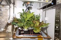 Tương lai của nền ẩm thực ngoài vũ trụ