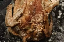 Thịt gà có 5 dấu hiệu tuyệt đối đừng nên mua kẻo rước họa
