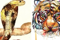 Số trời định, Quý Mão 2023 3 tuổi vướng Thái Bạch sạch bách cửa nhà 