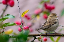 5 con giáp thăng hoa nhất tháng 3 Âm, xòe tay là hứng được tiền 