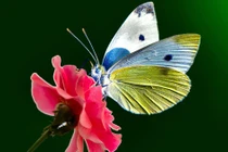 Ai sinh tháng Âm lịch này quý nhân trợ lực, tương lai rực rỡ