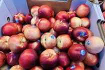 8 thực phẩm giúp tăng cường khả năng miễn dịch