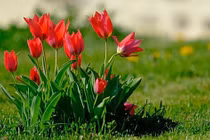 Tháng cô hồn ai xui mặc ai: 3 con giáp may mắn, bình an