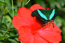 Sinh tháng Âm lịch này nhân duyên tốt đẹp, phong thái quý nhân