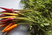 Mầm, lá các loại rau củ trước bỏ đi nay thành đặc sản