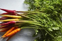 Mầm, lá các loại rau củ trước bỏ đi nay thành đặc sản