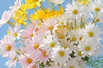 Ngày sinh Âm lịch kết thúc bằng 3 số này, gặp dữ hóa lành