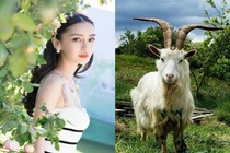 3 tuổi "không thành rồng cũng thành phượng" từ nay tới cuối năm