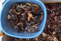 Bán "đặc sản của nhà nghèo" ở thành phố khách đặt tới tấp 