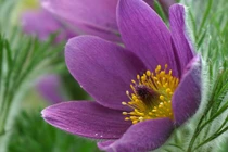 Những cặp vợ chồng có con giáp này nhiều phúc khí, con cái thành đạt