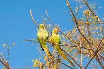 4 con giáp tự viết lại cuộc đời bằng chính nỗ lực của mình