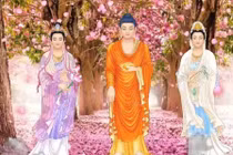 8 ngày sinh nhật tốt lành hiếm có nhất trên thế giới