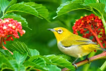 Quý cô sinh ngày Âm lịch này phúc lộc sâu dày, con cháu xuất sắc