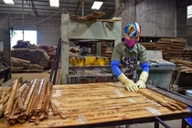 Rủ vợ về quê lập nghiệp với tre luồng, kiếm chục tỷ mỗi năm