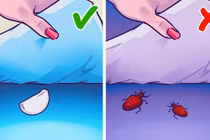 Vì sao nên đặt một nhánh tỏi dưới gối khi ngủ?