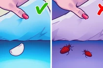 Vì sao nên đặt một nhánh tỏi dưới gối khi ngủ?