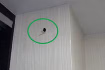 Phát hiện âm thanh lạ trên tường, người phụ nữ đục ra liền sững sờ 