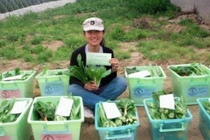 Nữ tiến sĩ bỏ việc về quê làm nông dân, kiếm 26 tỷ đồng/năm