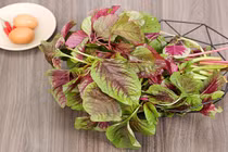 Bệnh nhân tiểu đường có nên ăn rau dền không? 