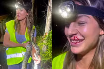 Nhà khoa học nữ bắt trăn bằng tay không gây sốt