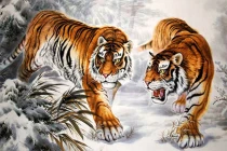 4 tuổi phúc khí tăng cao tháng 10 trúng số, tháng 11 rủng rỉnh