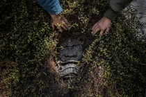 "Hòn đảo yêu tinh" - nơi lưu truyền thuyết quái vật rùng rợn ở Nhật Bản