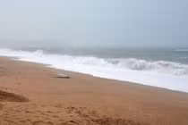 Đi săn xác tàu đắm, hai cậu bé hoảng hốt phát hiện một thứ này