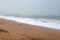 Đi săn xác tàu đắm, hai cậu bé hoảng hốt phát hiện một thứ này