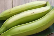 Loại quả khổng lồ là điềm xui, giờ cứ trồng là hốt bạc