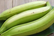 Loại quả khổng lồ là điềm xui, giờ cứ trồng là hốt bạc