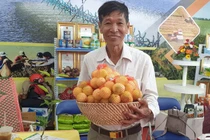 Ông nông dân tỉnh Sóc Trăng trồng chanh leo lạ, ăn ngọt mát